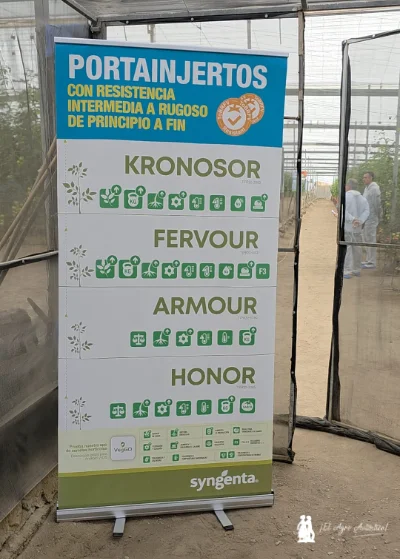 Portainjertos de Syngenta