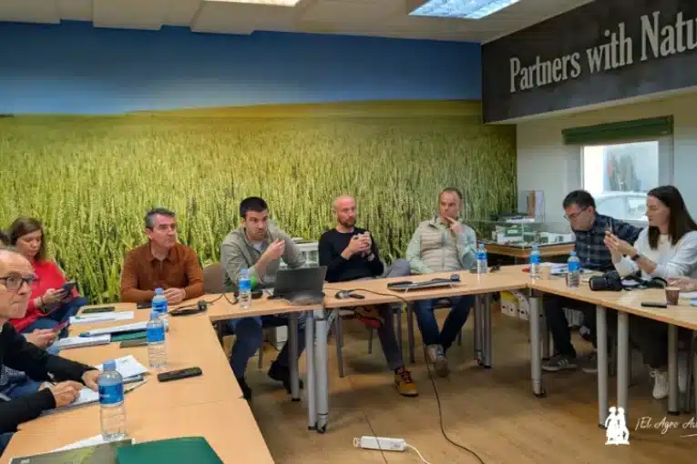 La gran apuesta de Koppert para frenar al Parvispinus: Limonica Ulti-Mite