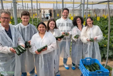 Naranco de Rijk Zwaan es el calabacín de planta más compacta del mercado