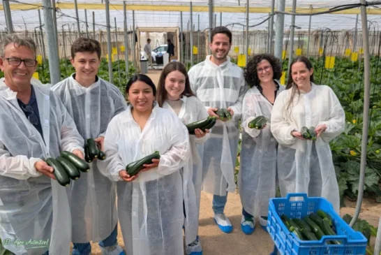 Naranco de Rijk Zwaan es el calabacín de planta más compacta del mercado