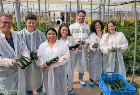 Naranco de Rijk Zwaan es el calabacín de planta más compacta del mercado