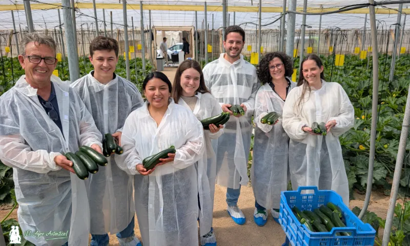 Naranco de Rijk Zwaan es el calabacín de planta más compacta del mercado