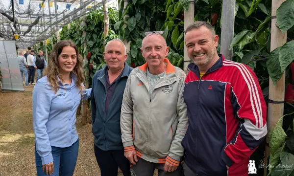 Puertas abiertas de pimiento california Vigilante de Capgen / agroautentico.com