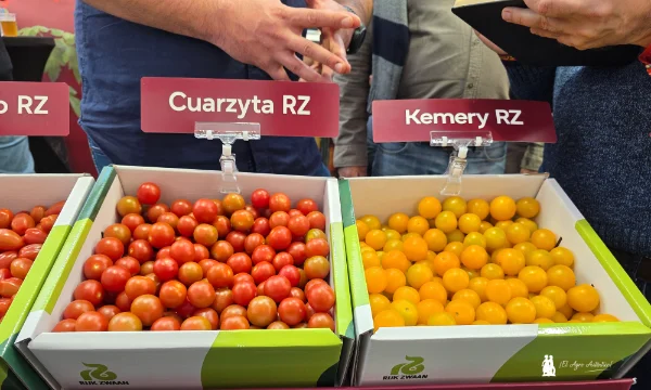 Talavante, Laurencetto, Abrametto y Kemery de RZ se estrenan en Expo Cherry / agroautentico.com