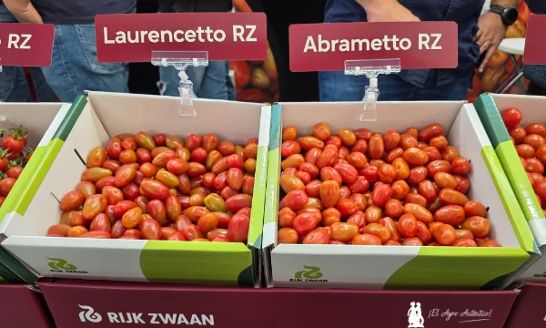 Talavante, Laurencetto, Abrametto y Kemery de RZ se estrenan en Expo Cherry / agroautentico.com