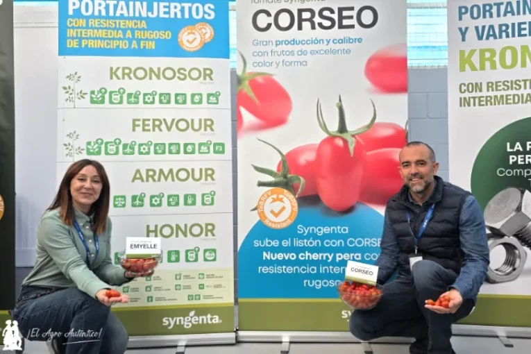 Nuevos cherry de Syngenta: Corseo y Emyelle en rojo, Tatto en naranja y Keisha en marrón