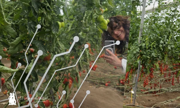 La batalla contra el rugoso sigue 3