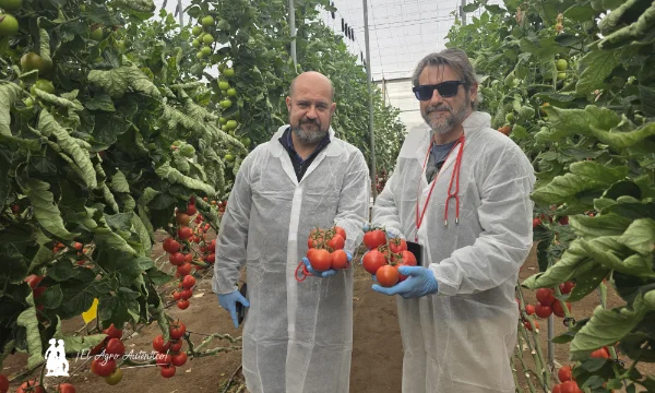 La batalla contra el rugoso sigue. Fondon e Ivarian le dan continuidad con alta resistencia 3