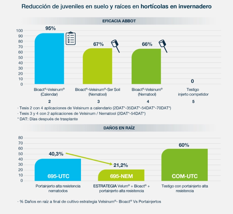 Reducción de juveniles en suelo y raíces en hortícolas en invernadero 3 control nematodos