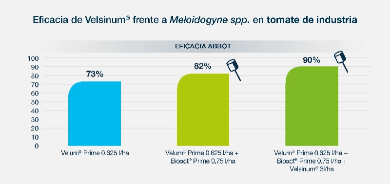 Velsinum innovación natural para el control sostenible de nematodos en hortícolas de alto valor