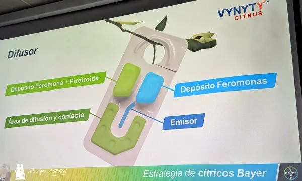 Vynyty Citrus / agroautentico.com