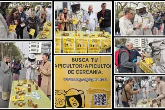 El sector apícola alza la voz contra el fraude en la miel