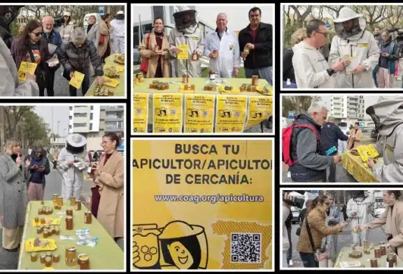 El sector apícola alza la voz contra el fraude en la miel
