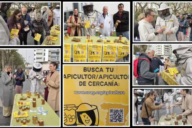 El sector apícola alza la voz contra el fraude en la miel