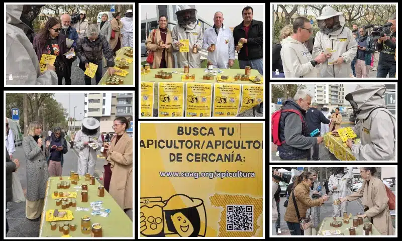 El sector apícola alza la voz contra el fraude en la miel