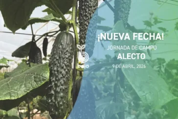 Día 9 de abril. Jornada de campo de pepino Alecto de Bejo