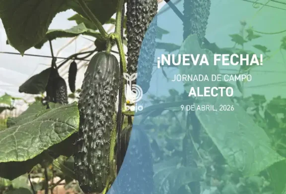 Día 9 de abril. Jornada de campo de pepino Alecto de Bejo