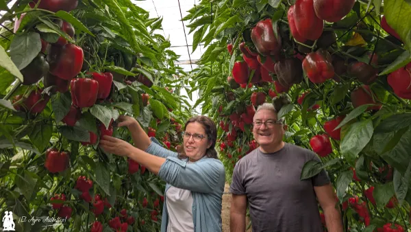 Adeli Tortosa y José Moreno con pimiento Arkos / agroautentico.com