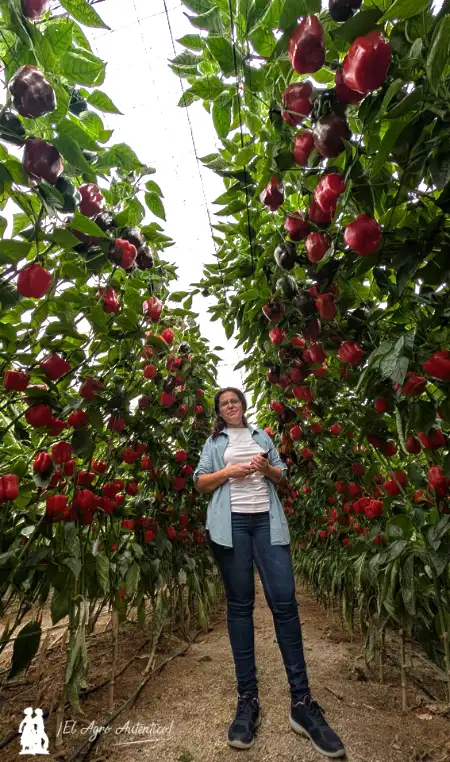 Agricultora de Roquetas de Mar, Almería / agroautentico.com