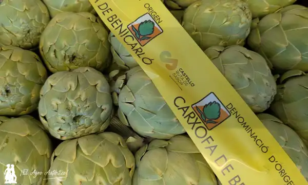 Alcachofa de Benicarló DOP / agroautentico.com