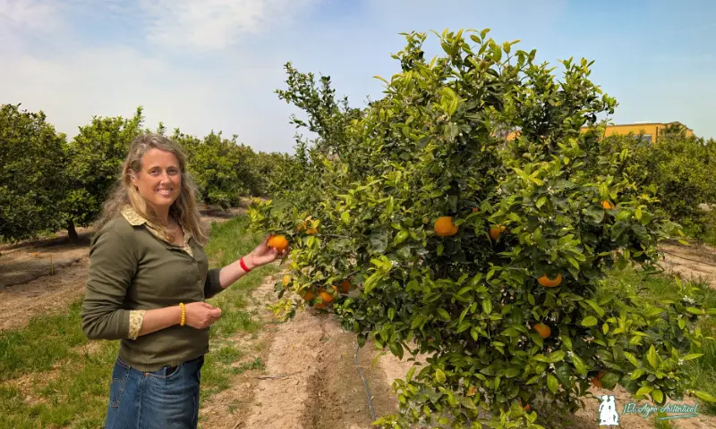 Ana García, directora de Finca Sinyent / agroautentico.com