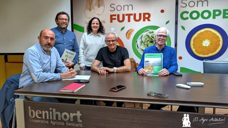 Benihort es la única cooperativa de Castellón con sección de hortícolas y cítricos
