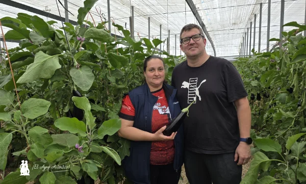 Patagonia responde en berenjena en los inviernos más difíciles 8