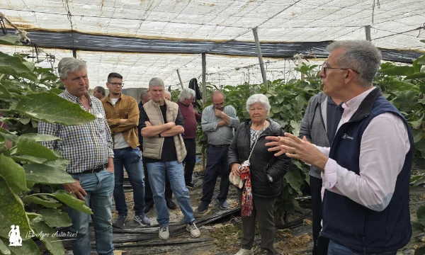 Patagonia responde en berenjena en los inviernos más difíciles 2