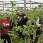 Patagonia responde en berenjena en los inviernos más difíciles