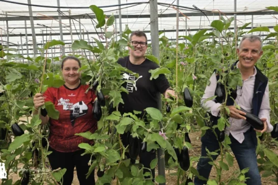 Patagonia responde en berenjena en los inviernos más difíciles