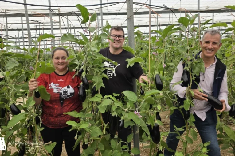 Patagonia responde en berenjena en los inviernos más difíciles