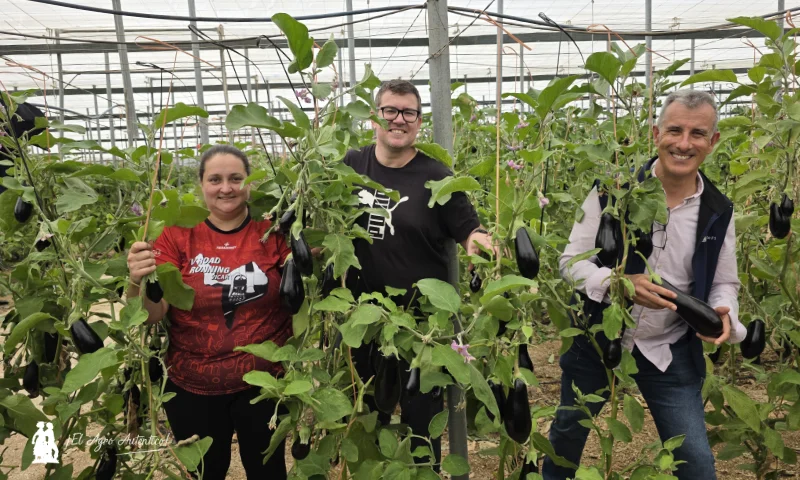 Patagonia responde en berenjena en los inviernos más difíciles