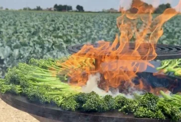 Bimi® celebra en Murcia su BBQ Day: de la semilla al fuego