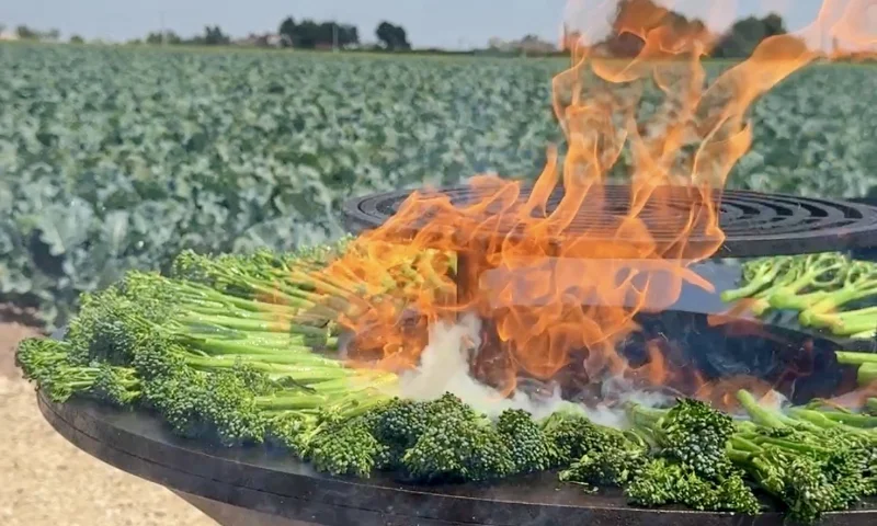 Bimi® celebra en Murcia su BBQ Day: de la semilla al fuego