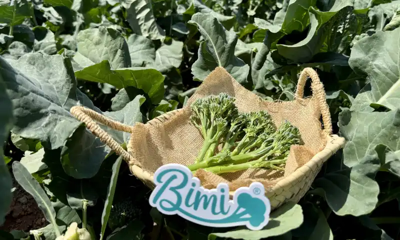 Bimi celebra en Murcia su BBQ Day de la semilla al fuego 4