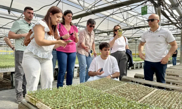 Bimi celebra en Murcia su BBQ Day: de la semilla al fuego 