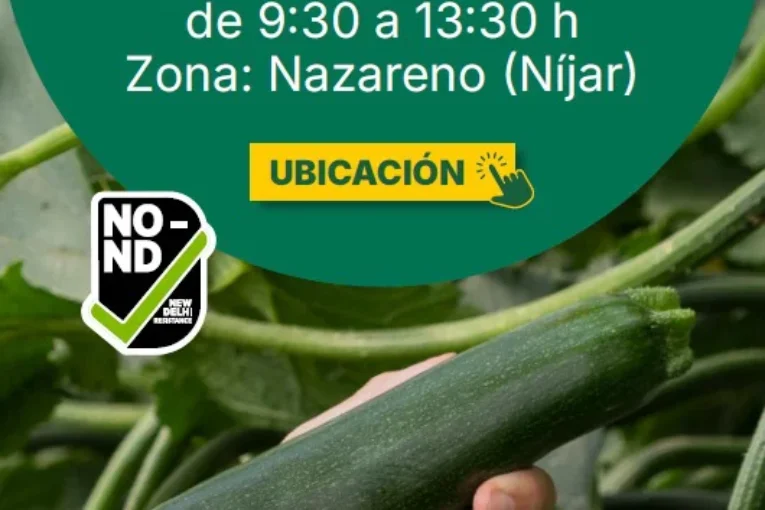 Día 9 de abril. Jornada de calabacín Vamana de HM.Clause