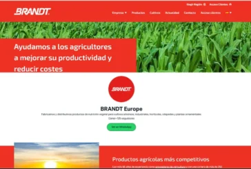 Brandt lanza un canal de Whatsapp en España