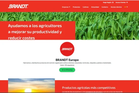 Brandt lanza un canal de Whatsapp en España