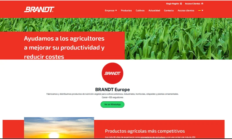 Brandt lanza un canal de Whatsapp en España