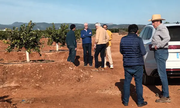 Con Javier Traver de Bagu en un campo de mandarinas en Castellón / agroautentico.com