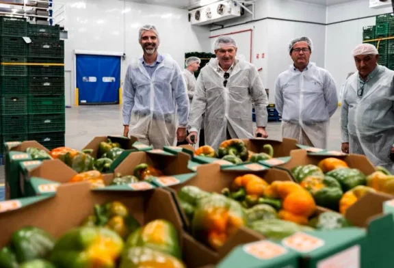 Normalidad absoluta en MABE tras su recuperación en tiempo récord