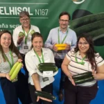 Gautier presenta en Expolevante 2026 sus variedades de calabacín resistentes a verruga y Nueva Delhi como son Delhisol y Delhirium / agroautentico.com