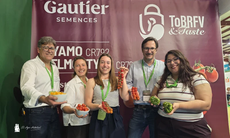 Gautier Semillas con sus nuevas variedades de tomate en Expolevante 2026 en Níjar / agroautentico.com