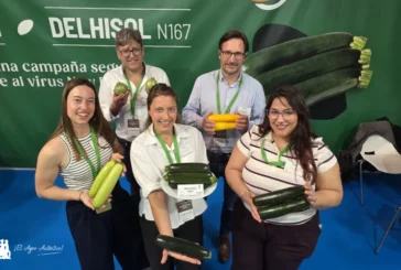 Gautier responde a verruga y Nueva Delhi en calabacín y a rugoso en tomate