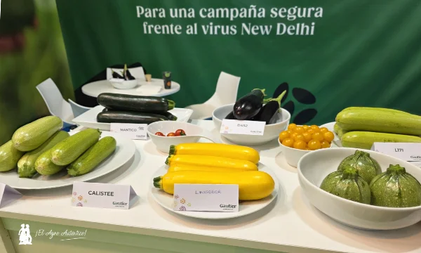 Catálogo de calabacín de Gautier en Expolevante 2026 en Níjar / agroautentico.com