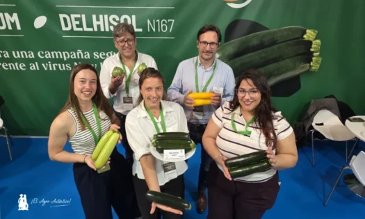 Gautier presenta en Expolevante 2026 sus variedades de calabacín resistentes a verruga y Nueva Delhi como son Delhisol y Delhirium / agroautentico.com
