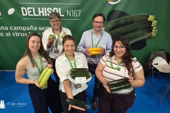 Gautier responde a verruga y Nueva Delhi en calabacín y a rugoso en tomate