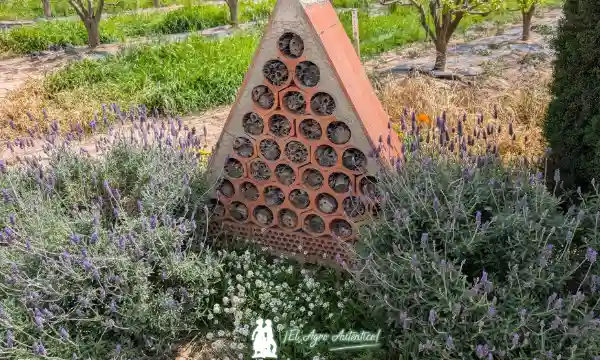 Hotel para insectos en una finca experimental de AVA-Asaja en Valencia / agroautentico.com
