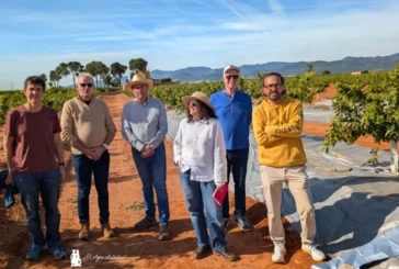 La lucha contra plagas en cítricos empieza en el suelo con los plásticos metalizados de Imaflex